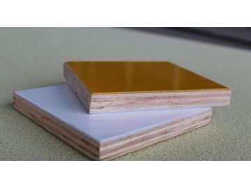 Plywood sandwich panel